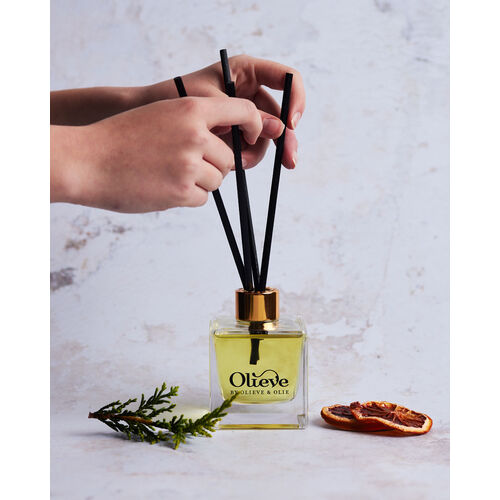TESTER Christmas Diffuser 